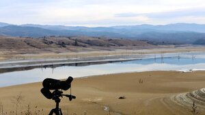 Μεσοχειμωνιάτικες καταμετρήσεις υδρόβιων πουλιών στη Δράμα