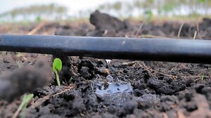 Δήμος Κισσάμου: Αυστηρά βάσει προγράμματος η άρδευση στις Λουσακιές