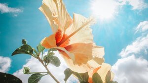 Λιακάδα και ζέστη τη Μεγάλη Παρασκευή στην Κρήτη