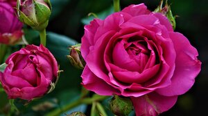 "Δια γυναικός..." - Εκδήλωση αφιερωμένη στη Γυναίκα