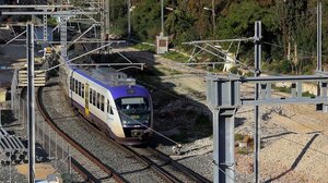 Δέντρο έπεσε στη σιδηροδρομική γραμμή Αφίδνες - Σφενδάλη