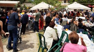 Συνωστισμός, ταλαιπωρία και παράπονα στη Γιορτή Πορτοκαλιού