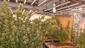 Hi-tech χασισο-βίλα: Στη φυλακή ο μεγάλος αδερφός, ελεύθερος με όρους ο μικρός