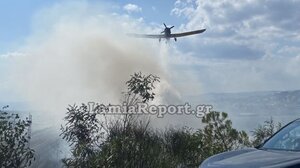 Πυρκαγιά στον ΧΥΤΑ της Λαμίας