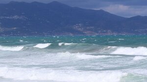 Φίδι εμφανίστηκε σε παραλία στην Αχαΐα - Έντρομοι έβγαιναν από το νερό οι λουόμενοι