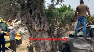 Έπεσε σε δέντρο κι έκοψε στη μέση τον στύλο της ΔΕΗ, μετά το τροχαίο!