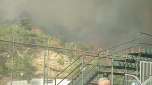 Μεγάλη η φωτιά στη Σταμάτα Διονύσου - Εντολή εκκένωσης σε Αμυγδαλέζα, Γαλήνη και Ροδόπολη