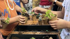  Μεγάλη γιορτή για την ανακύκλωση και το περιβάλλον με βραβεύσεις σχολείων από το Δήμο Ηρακλείου 