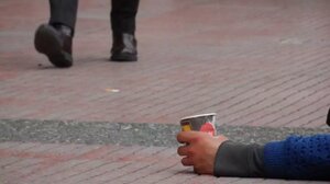 Σκυλάκια στην «υπηρεσία» κυκλωμάτων επαιτείας