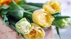 Εορτολόγιο: Ποιοι γιορτάζουν σήμερα 20 Μαρτίου