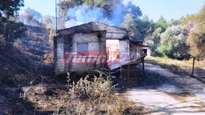Δήμος Ερυμάνθου: Οι κάτοικοι μετρούν τις πληγές που προκάλεσε η πύρινη λαίλαπα