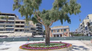 Κι ο Καλοκαιρινός αντίθετος με την ανάπλαση!