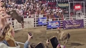 Τρομακτικό βίντεο: Ταύρος το έσκασε από την αρένα και επιτέθηκε στους θεατές