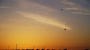 Μια ρομαντική καλοκαιρινή ανατολή