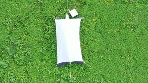 Υπολογίζουν τη βιοποικιλότητα των εντόμων στον Λίσταρο!