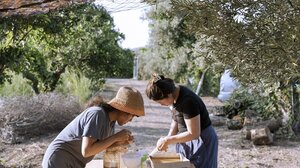 Γνωρίστε τα διεθνή ερευνητικά εργαστήρια στον Αλικιανό