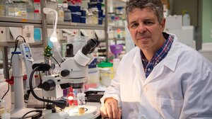 Δύο ερευνητές του ΙΤΕ εκλέγονται στον Ευρωπαϊκό Οργανισμό Μοριακής Βιολογίας 