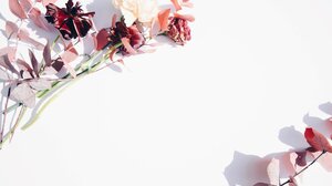 Εορτολόγιο: Αυτά τα ονόματα γιορτάζουν σήμερα Δευτέρα 8 Ιουλίου