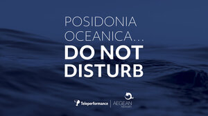 Πέντε +1 πράγματα που δεν ξέρετε για την Posidonia Oceanica