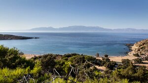 Μετά τη γαστρεντερίτιδα… αμέτρητες μύγες διώχνουν τους επισκέπτες από τη Γαύδο!