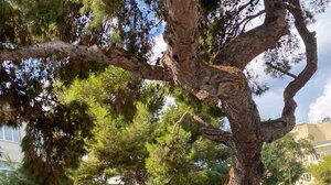 "Η περιβαλλοντική ευαισθησία πρέπει να ενθαρρύνεται κάποιες φορές όμως έρχεται το πλήρωμα του χρόνου"