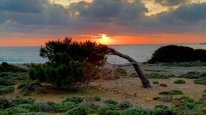 Κρήτες Ανασκουμπωθείτε 