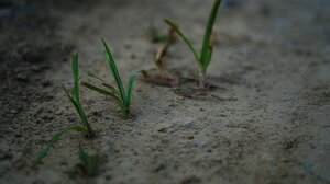 Ανομβρία και με τη... βούλα-Δεν είναι διαπίστωση, είναι ζοφερή πραγματικότητα!