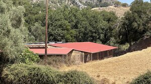 Μαρτύρησε ο 69χρονος κτηνοτρόφος! Πώς του έκοψε ο δράστης τη γλώσσα!