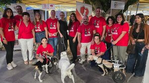 Πλήθος κόσμου και το Σάββατο στις εκδηλώσεις του 1ου Φεστιβάλ Εθελοντισμού