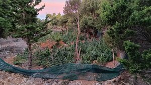 Τι γύρευαν Οργανωμένο, Δίωξη Ναρκωτικών και ΕΚΑΜ στις Καμάρες;