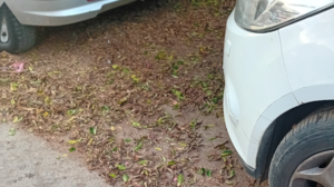 Διαμαρτύρονται οι δημότες για τα σκουπίδια