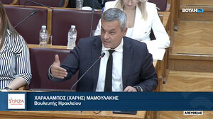 Χάρης Μαμουλάκης: «Οι έμμεσοι φόροι είναι οι πιο άδικοι φόροι»