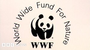 WWF: Οι πληθυσμοί της άγριας πανίδας έχουν μειωθεί κατά 73% την τελευταία 50ετία