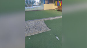 "Ποιος τάπητας; Ποιο πεζοδρόμιο;" - Tι απαντά στον Δήμο ο Συλλόγος Γονέων στο 8ο Νηπιαγωγείο