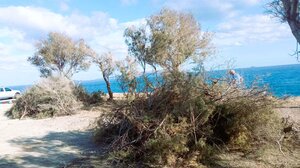 Συνεχίζονται οι δράσεις εξωραϊσμού κοινόχρηστων χώρων στον Δ.Χερσονήσου