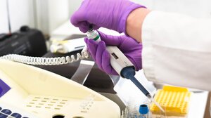 10 ερωτήσεις και απαντήσεις για τον καρκίνο του παχέος εντέρου και τον προσυμπτωματικό έλεγχο