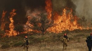 Αύξηση 11% στις πυρκαγιές φέτος - Εντονότερες ακόμη και προς το τέλος της αντιπυρικής περιόδου