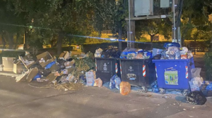 "Μέσα σε όλα ήρθαν και τα ποντίκια"