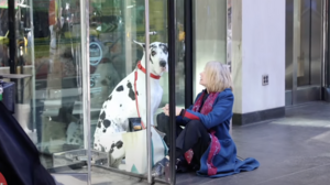 «The Friend»: Μία ταινία για τη φιλία, την απώλεια και την αγάπη για τα ζώα με την Ναόμι Γουότς