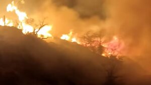 Υπό μερικό έλεγχο η φωτιά στο Ορεινό - Παραμένουν δυνάμεις