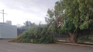 "Σοβαρά τα προβλήματα της σχολικής στέγης στις Μοίρες"