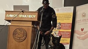 Άνθρωποι και ζώα: Με επιτυχία το σεμινάριο για τις πρώτες βοήθειες