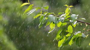 Καιρός: Που αναμένονται βροχές στην Κρήτη την Πέμπτη