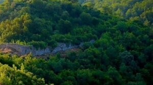 Χωρίς ενεργές εστίες η πυρκαγιά στο Βουπράσιο Αχαΐας - Δεν επεκτάθηκε στο δάσος της Στροφυλιάς