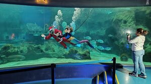 Χριστουγεννιάτικη γιορτή από την Περιφέρεια Κρήτης και το CretAquarium για παιδιά που νοσηλεύονται σε νοσοκομεία της Κρήτης