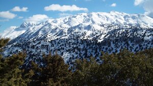 Κρήτη: Χριστούγεννα σε ένα καταφύγιο; Γιατί όχι;