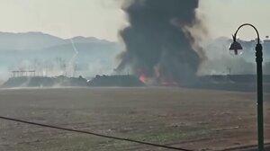 Σύγκρουση αεροσκάφους στη Ν. Κορέα: Ο πύργος ελέγχου είχε προειδοποιήσει για κίνδυνο από πουλιά