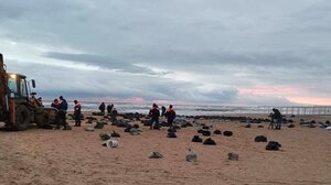 Ρώσοι επιστήμονες επικρίνουν την απάντηση των αρχών για την πετρελαιοκηλίδα που προκλήθηκε από τη βύθιση πετρελαιοφόρων