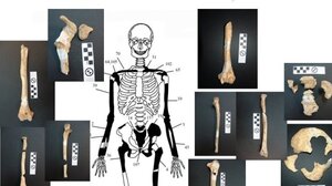 Παγκόσμιο δέος: Ολυμπιάδα και Ηφαιστίωνας μεταξύ των νεκρών στον Τύμβο Καστά