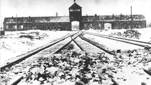 Α.Καλοκαιρινός για Άουσβιτς: Σήμερα το φάσμα του ολοκληρωτισμού απειλεί με νέους όρους τον Δυτικό Κόσμο